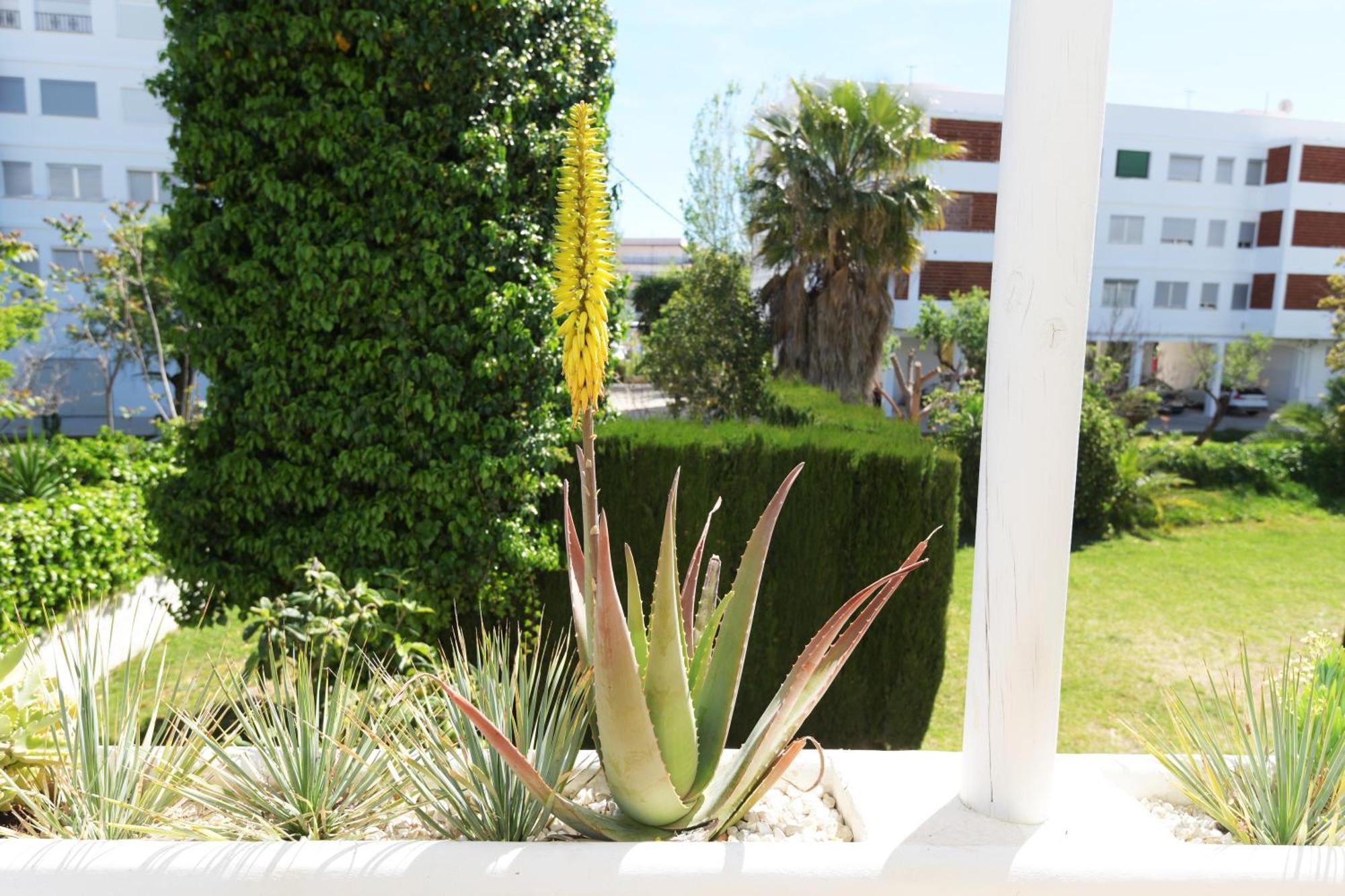 Stories Javea - Cosy Boho Apartment El Arenal - Toplocation - 250M From The Beach! Buitenkant foto